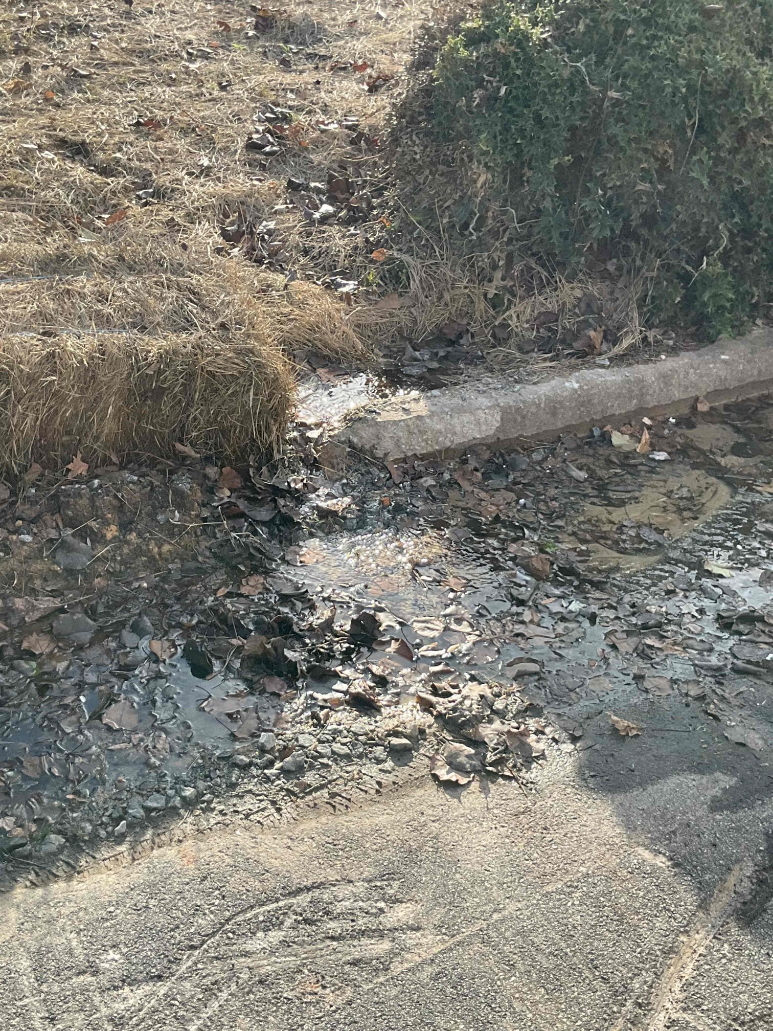 543aecd6-3191-4aff-a75b-4bfb8ebd21aa_cdv_photo_000