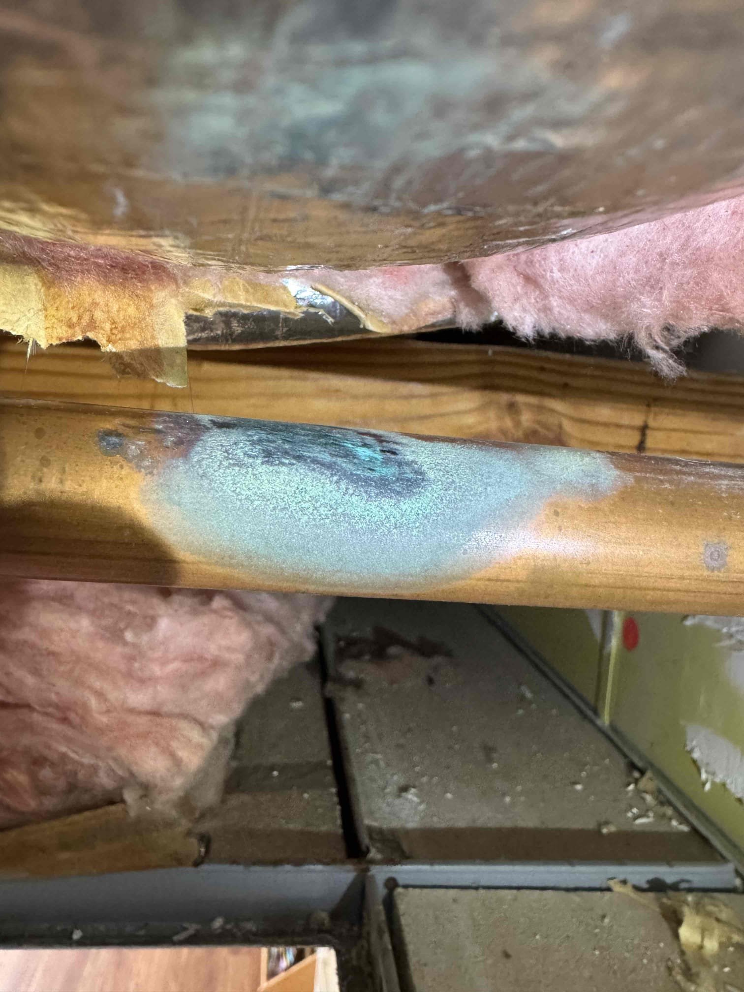 7cbcf1db-915d-4961-9143-84eb849624f6_cdv_photo_003