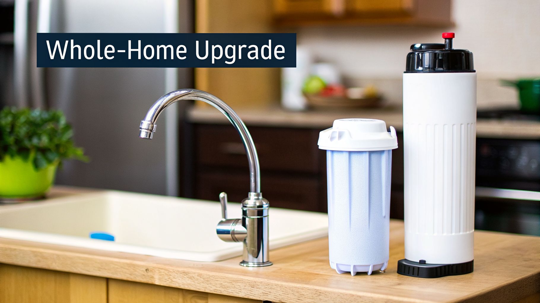 Two residential water filter systems on a kitchen counter near a sink, promoting a whole-home upgrade.