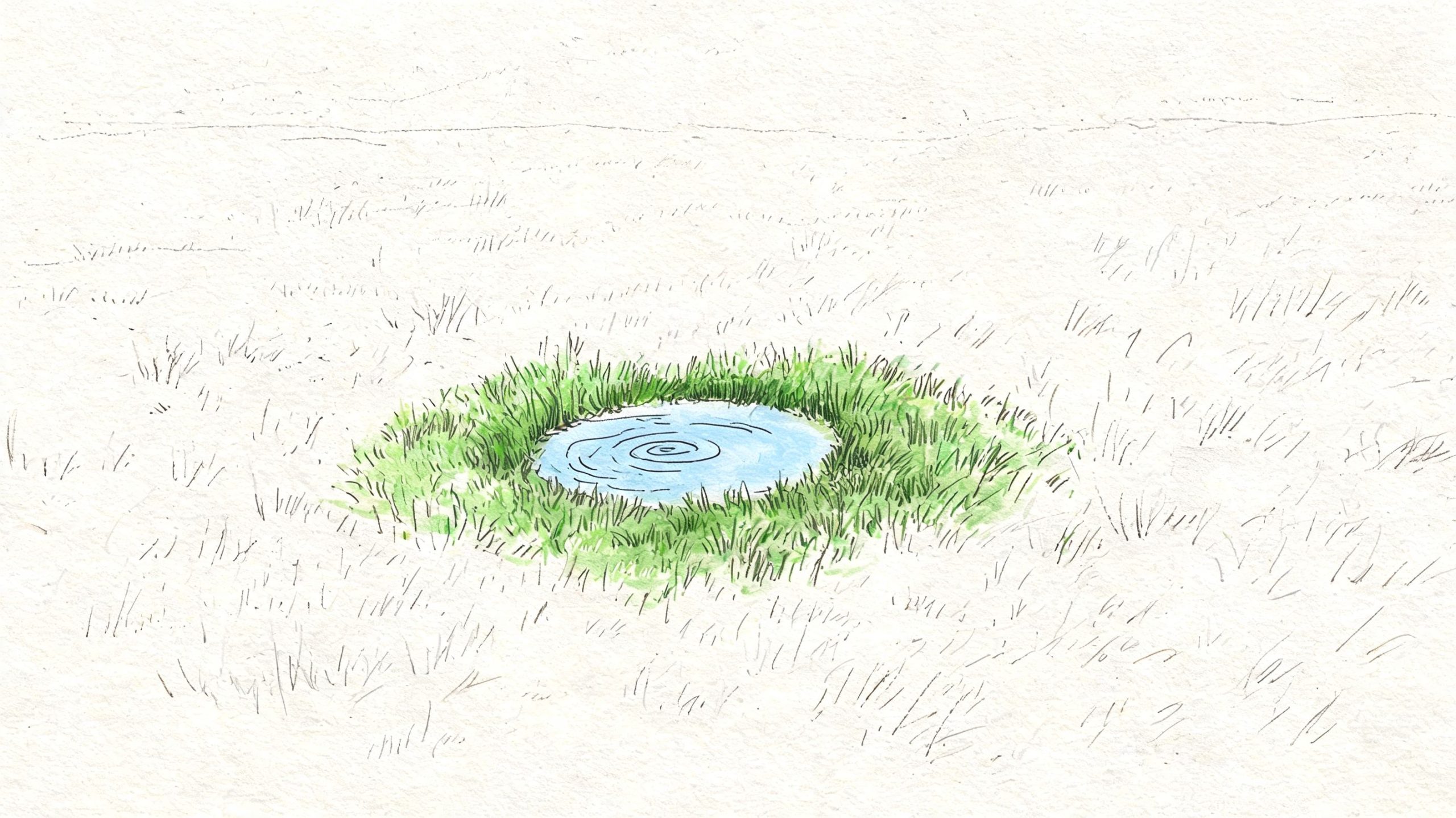 A small blue pond surrounded by lush green grass in the middle of a sparse, dry landscape.